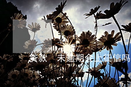 贷款 未逾期会上征信吗 贷款 未逾期会上征信吗